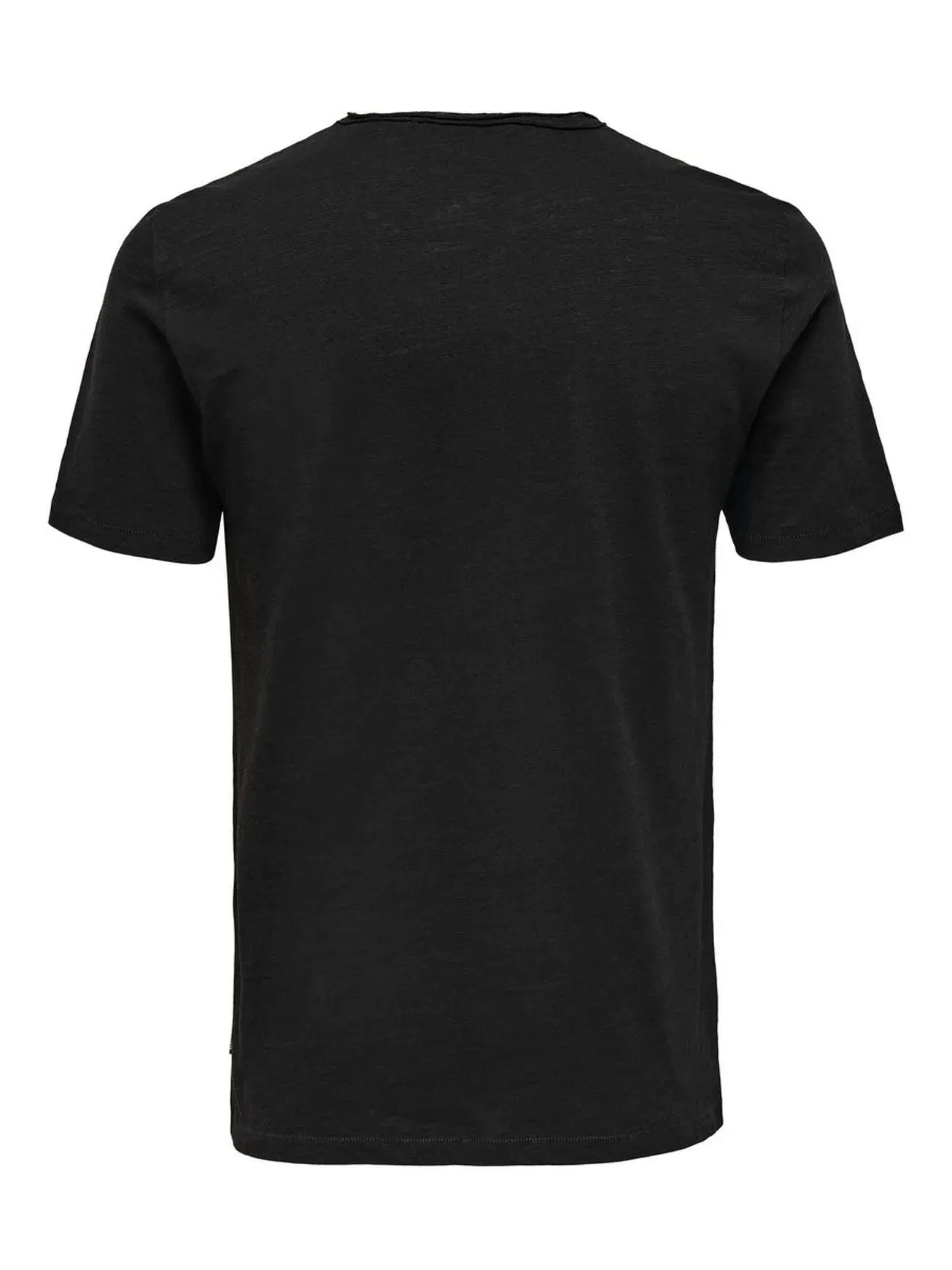 Camiseta Básica Albert