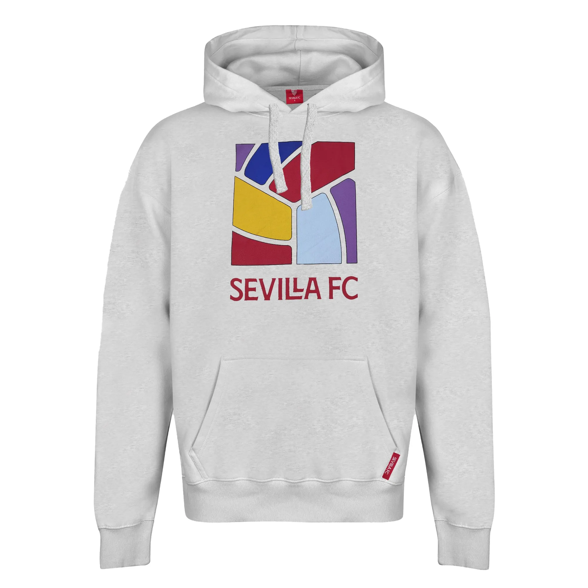 Sudadera capucha nio gris